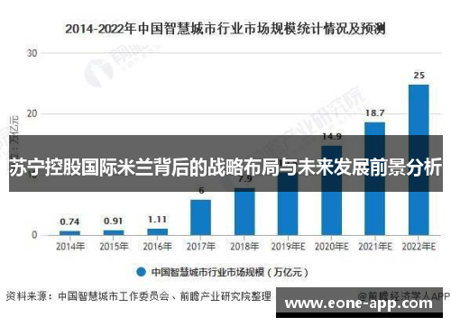 苏宁控股国际米兰背后的战略布局与未来发展前景分析