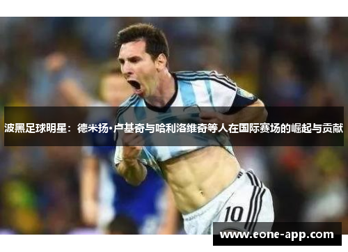 波黑足球明星：德米扬·卢基奇与哈利洛维奇等人在国际赛场的崛起与贡献
