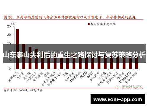 山东泰山失利后的重生之路探讨与复苏策略分析