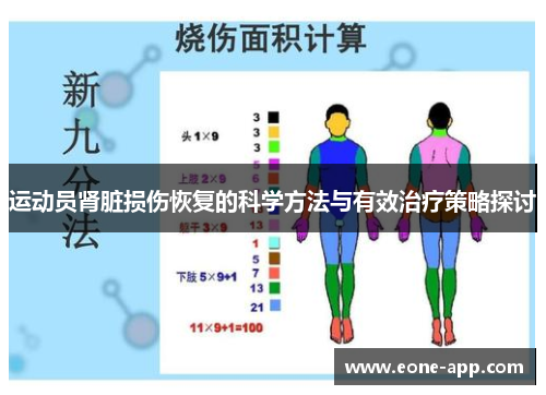 运动员肾脏损伤恢复的科学方法与有效治疗策略探讨